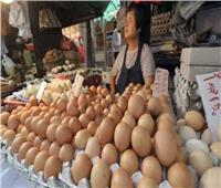 شعبة الدواجن تكشف حقيقة انتشار البيض الصينى