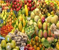 «الزراعة» تعلن نتائج المباحثات مع الإمارات بشأن تصدير الخضروات والفاكهة