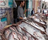 نرصد أسعار الأسماك بالأسواق