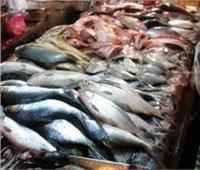 نرصد أسعار الأسماك بسوق العبور اليوم 