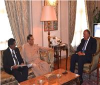 وزير الخارجية يبحث تعزيز العلاقات الثنائية مع رئيس البرلمان السريلانكي
