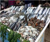 استقرار «أسعار الأسماك» في سوق العبور اليوم