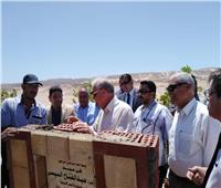 صور| «ابو ستيت» و «فودة» يتفقدان المشروعات الزراعية  بجنوب سيناء