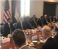 وزير الخارجية يشارك في غداء عمل مع ممثلي كبرى الشركات الأمريكية بواشنطن 