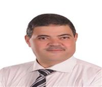 «خليفة» يتوقع حضور 20 ألف عضو في انتخابات مركز شباب الجزيرة