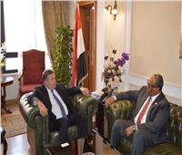 وزير قطاع الأعمال العام يبحث مع سفير الإمارات بالقاهرة تعزيز التعاون المشترك