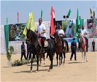 انطلاق فاعليات مهرجان الخيول العربية بالشرقية