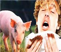 الصين تعلن رصد 3 حالات جديدة لحمى الخنازير الأفريقية