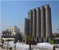 البتروكيماويات المصرية: إنتاج الشركة وصل لـ2.3 مليار جنيه هذا العام