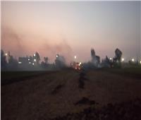 تحرير 50 محضرا لـ«مزارعي الغربية» بسبب حرق قش الأرز