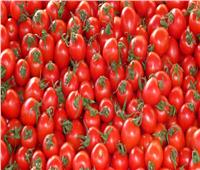 وزير الزراعة: الشركة المستوردة للطماطم المصابة مسئولة عن تعويض المزارعين