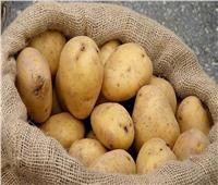 فيديو| تراجع سعر البطاطس إلى 7 جنيهات ونصف اعتبارا من «الأربعاء»