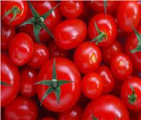 فيديو| «الزراعة»: حل أزمة ارتفاع أسعار الطماطم خلال أيام