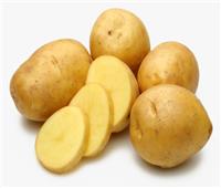 رئيس مدينة ميت غمر: 4 سيارات لبيع البطاطس يوميا بأسعار مخفضة