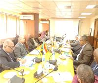 تفاصيل اجتماع اللجنة المصرية السودانية لتعزيز التعاون في النقل النهري