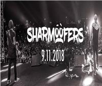 شارموفرز تقدم أكبر حفلاتها الغنائية بحديقة الحرية.. 9 نوفمبر