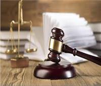 عاجل| تأجيل إعادة محاكمة 7 متهمين بـ«ثأر أوسيم» لـ23 ديسمبر