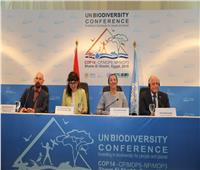 وزيرة البيئة: التصديق على الإعلان الرئيسي لمؤتمر الأمم المتحدة للتنوع البيولوجي
