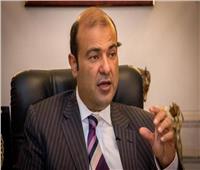 خالد حنفي يطالب بتوطين بعض الصناعات الفرنسية في مصر