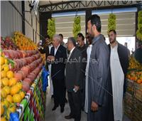 محافظ مطروح يفتتح المعرض اللوجستي لبيع الخضروات والفواكه 