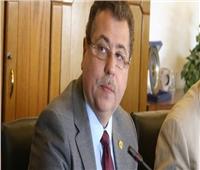 برلماني: افتتاح السيسي للكوميسا تأكيد لنظرة مصر المختلفة تجاه إفريقيا