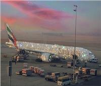 القصة الكاملة لطائرة الخطوط الإماراتية المرصعة بالألماس| صور 
