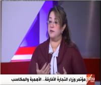فيديو| أستاذ علوم سياسية: العلاقات المصرية الإفريقية تطورت بشكل غير مسبوق