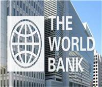 البنك الدولي يصدر ضمانات استثمارية لشركة مصرية بقيمة 16.2 مليون دولار