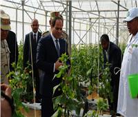 وزير الزراعة: مشروع الصوب الزراعية يوفر 250 ألف فرصة عمل