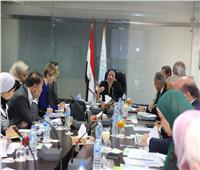 فؤاد: مصر قادرة على مواجهة التحديات التي تواجه تحقيق التنمية المستدامة