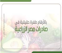 إنفوجراف| بالأرقام طفرة حقيقية في صادرات مصر الزراعية خلال 5 سنوات