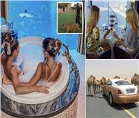 بالصور| سيارات فارهة وشيشة «ذهبية».. الوجه العالمي لرفاهية دبي