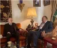 وزير الخارجية يلتقي رئيس الحزب التقدمي الاشتراكي اللبناني
