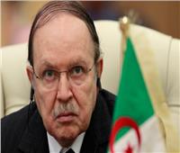 انتخابات الجزائر| 101 مرشح للرئاسة.. وغموض في موقف بوتفليقة 