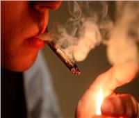 مفاجأة: دراسة حديثة تكشف العلاقة بين تدخين «الحشيش» وخصوبة الرجال