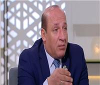 عماد الدين: رئاسة مصر للاتحاد الإفريقي دليل على قوة علاقاتها