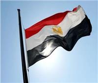 نقابة «النيل للأدوية» مشيدة بالتعديلات الدستورية: متفائلون بالسياسات الراهنة
