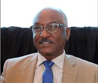 وزير النقل السوداني: حكومتنا تولي اهتماما بعلاقتنا مع مصر 