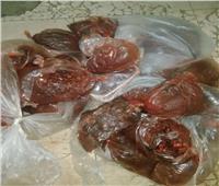 «الزراعة»: ضبط 15 طن أسماك ولحوم فاسدة بحملات تفتيشية
