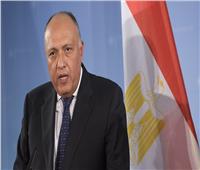 فيديو| وزير الخارجية: انعقاد القمة العربية يعتبر مركز ثقة للعالم العربي تجاه مصر