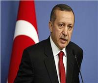 أردوغان: تركيا ستخفض معدل التضخم إلى 6-7%