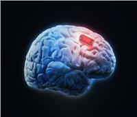 ابتكار شرائح «دماغية ذكية» تحول الإنسان إلى موسوعة علمية