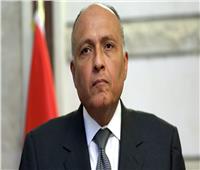 سامح شكري: مصر ستستمر في مواجهة الإرهاب بالتعاون مع أشقائها العرب
