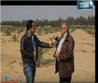 فيديو| مزرعة مصرية تنتج أحدث شتلات البرحى والمجدول بالهرمونات الطبيعية