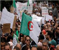 الحزب الحاكم بالجزائر: لن ندفع ثمن الأخطاء السياسية الأخيرة بمفردنا