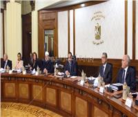 الوزراء: 860 ألف يورو منحة من الصندوق الدولي للتنمية الزراعية بمصر