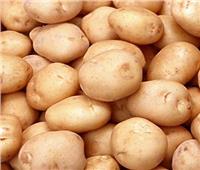 الزراعة: فتح الأسواق التركية أمام البطاطس المصرية  