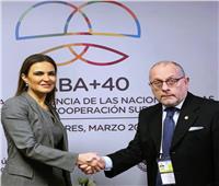 مصر والأرجنتين تتفقان على تعزيز التعاون الثنائي في المجالات الاقتصادية 
