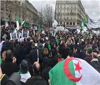 مظاهرات حاشدة في الجزائر ومطالبات بإضراب عام