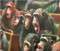 شاهد| لوحة لـ« نواب » على هيئة قرود الشمبانزي بمعرض بريطاني